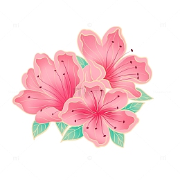 粉红金边杜鹃花国潮元素