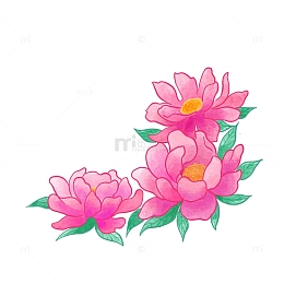 芍药国潮花朵元素