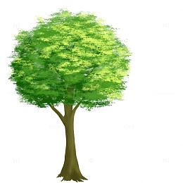 绿色手绘树植物元素