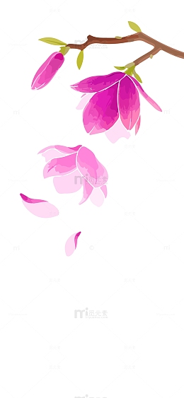 矢量飘落的紫色花朵