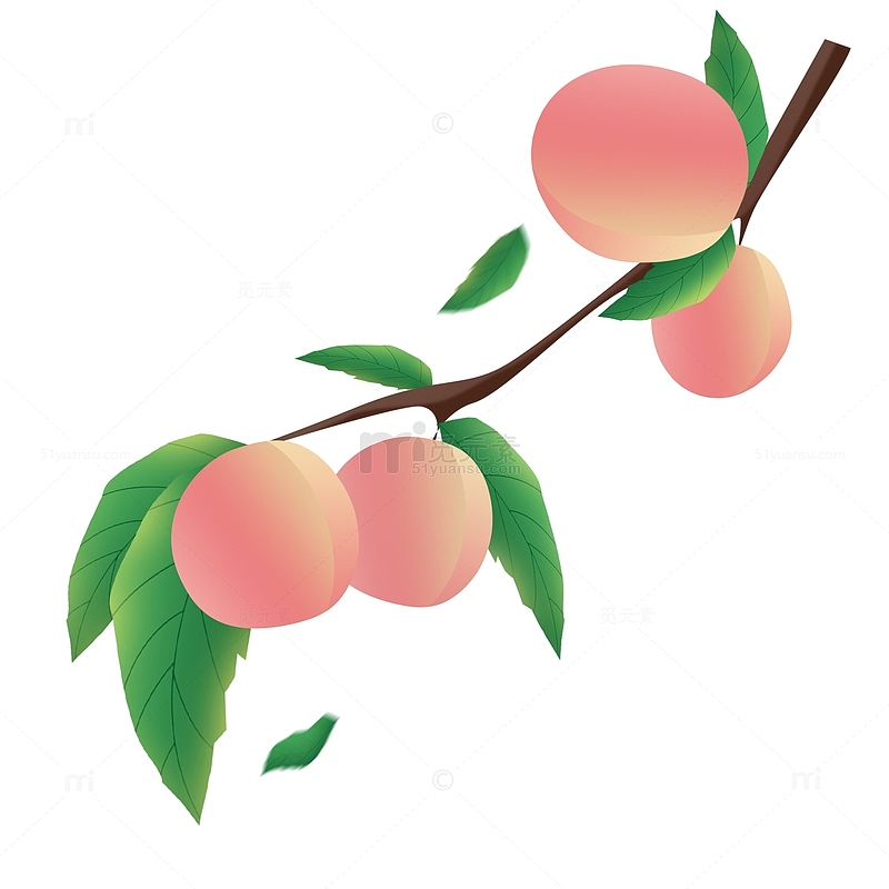 浅色夏季小暑节气美食桃子手绘风装饰元素图