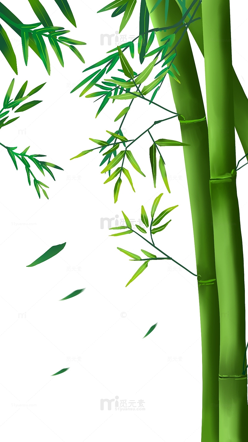 绿色竹子夏天凉快避暑