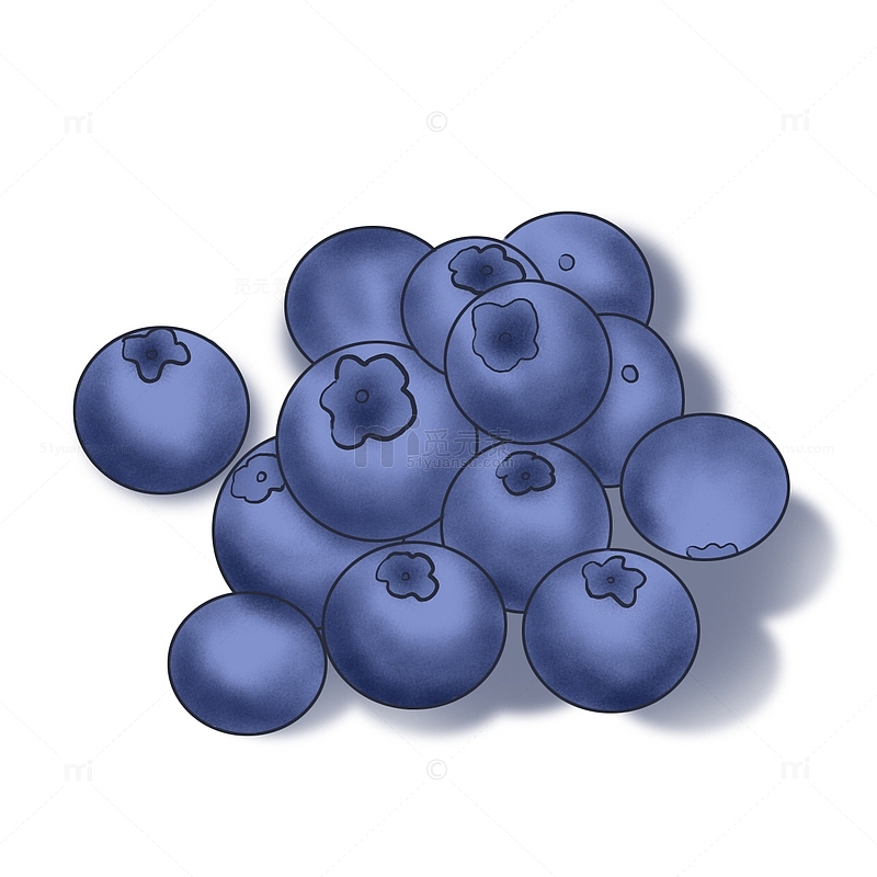 蓝莓水果手绘