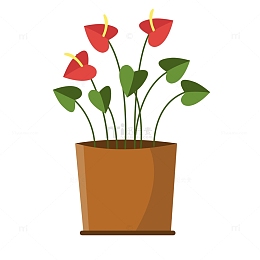 室内花盆马蹄莲植物花卉简约卡通素材