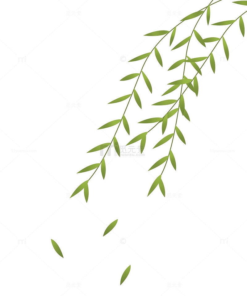 绿色夏季树叶柳枝条飘落手绘素材