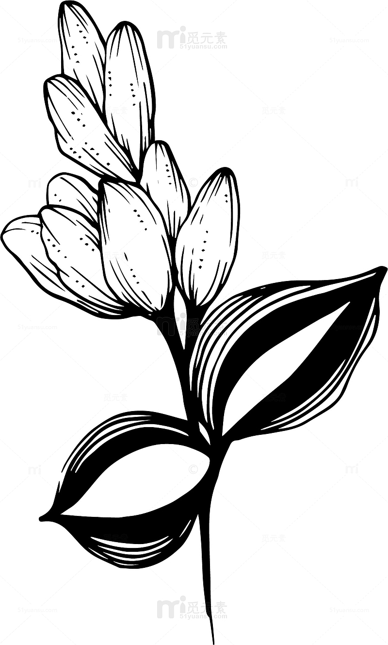 黑白创意花卉线稿