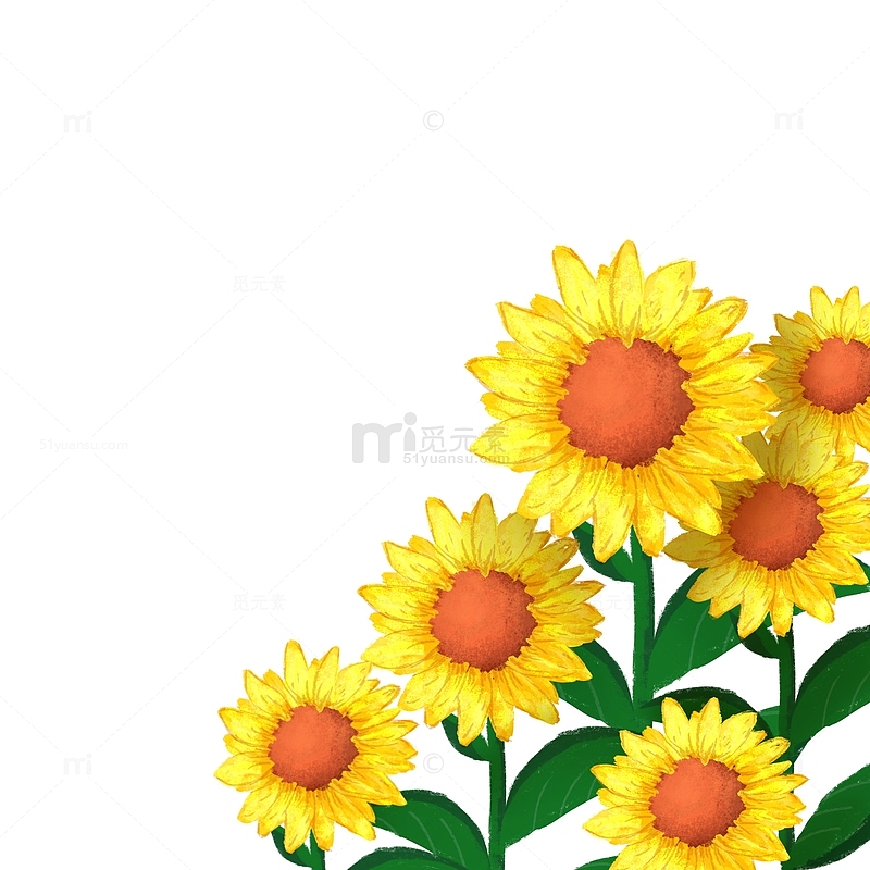 金黄色向日葵太阳花可拆分植物花朵手绘元素