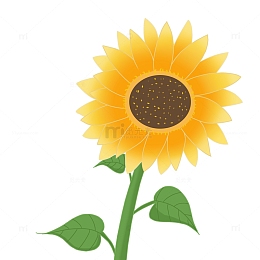 夏日阳光向日葵
