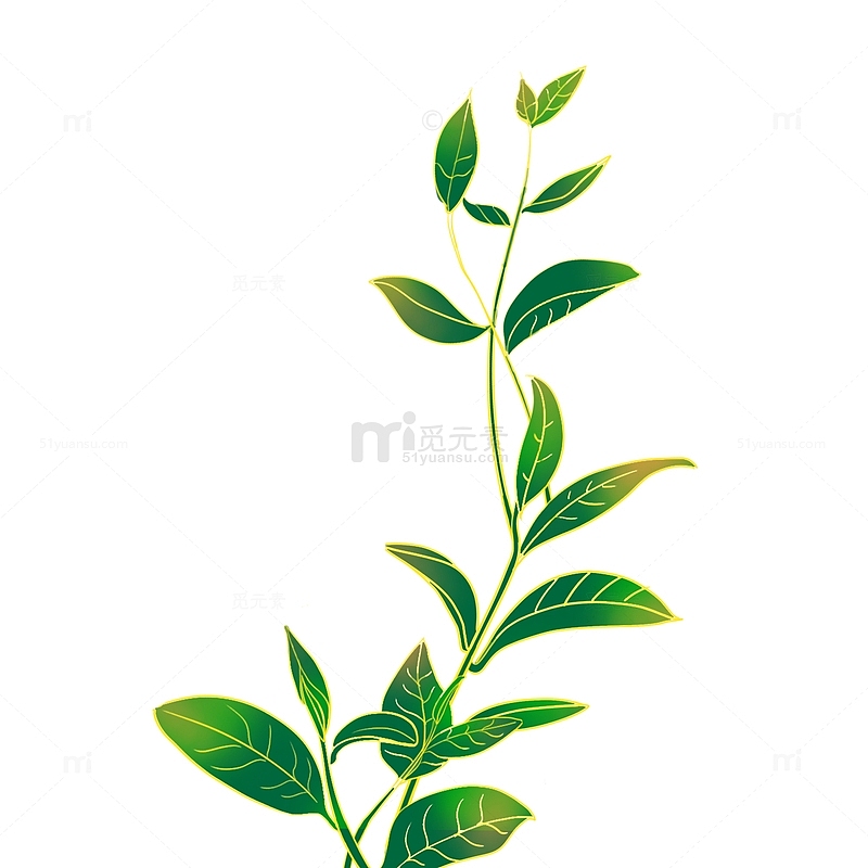 手绘国潮茶叶茶树绿茶植物元素