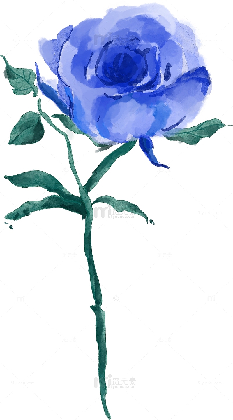 蓝色水彩风玫瑰手绘图