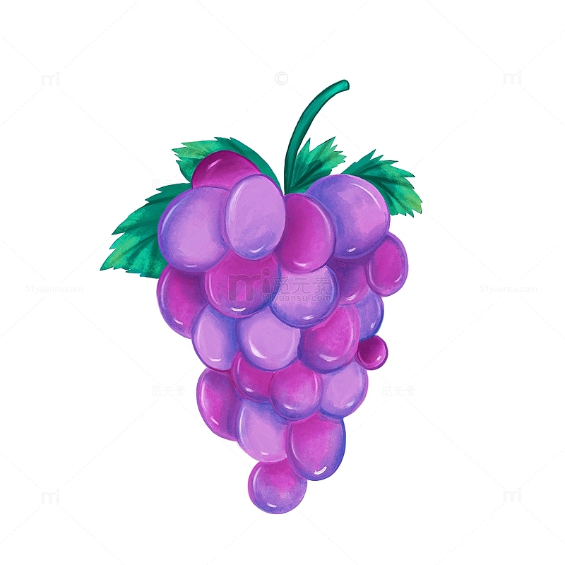 紫色小清新葡萄夏日水果食物手绘植物素材