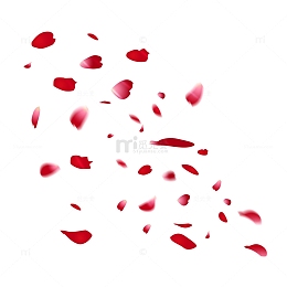 红色漂浮玫瑰花花瓣情人节元素