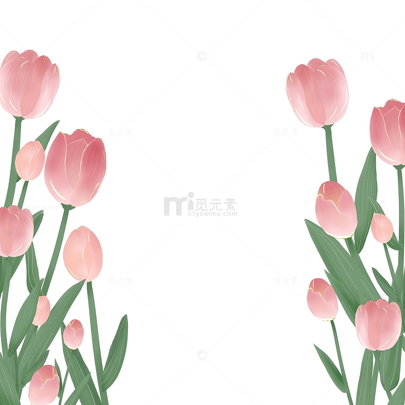 粉红手绘郁金香花丛可拆分植物花朵