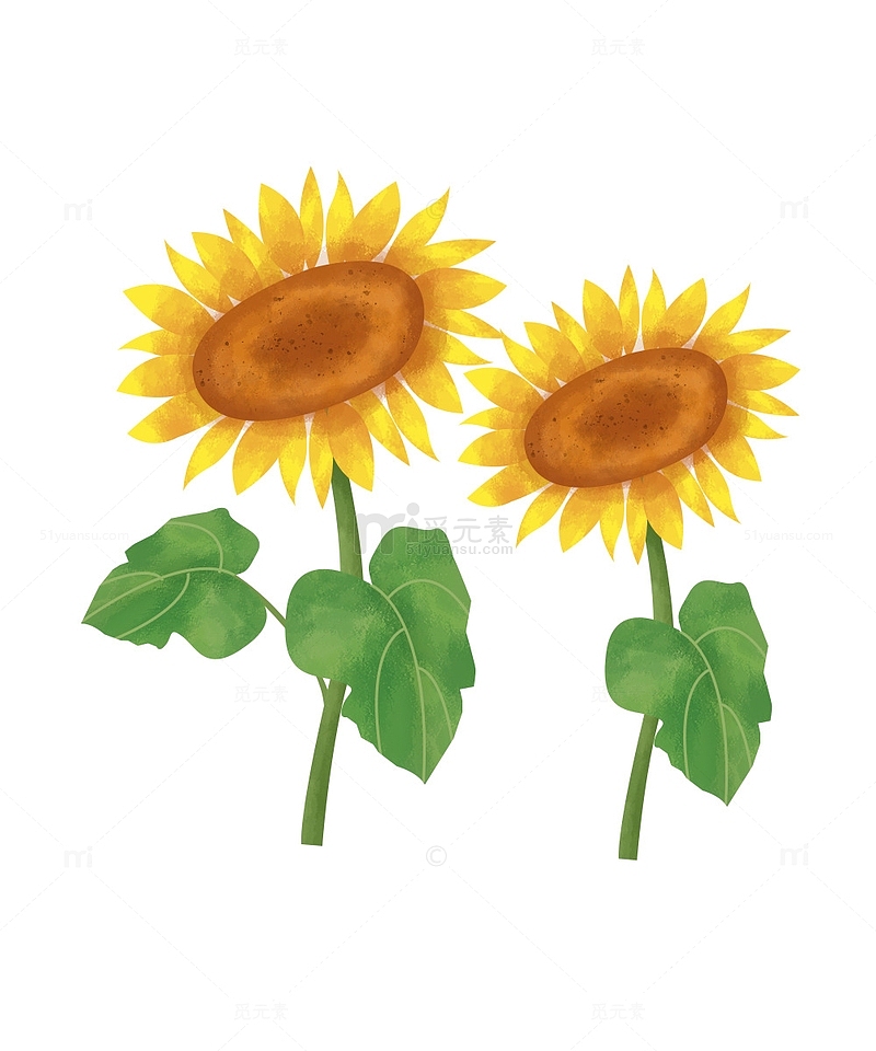 黄色夏季向日葵花卉植物手绘元素