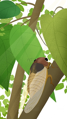 绿色小清新商插风榕树与知了大暑手绘背景