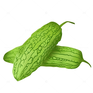绿色苦瓜夏日蔬菜手绘