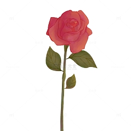 手绘七夕情人节红色玫瑰花插画元素