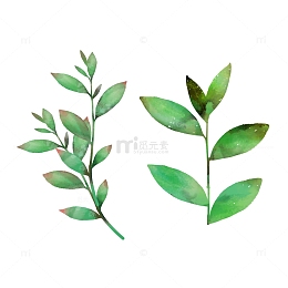 小清新水彩风茶叶绿茶树叶手绘元素