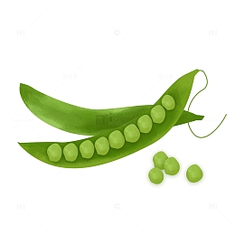 绿色青豆豆角青菜食物手绘元素