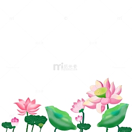 粉绿色唯美夏天荷花手绘插画
