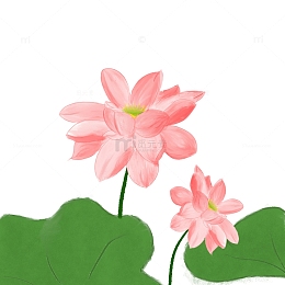 中国风七夕古风荷花卉手绘水彩元素