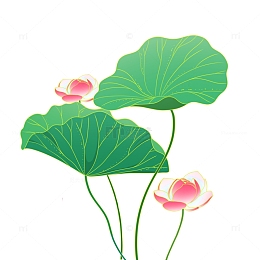 手绘国潮荷花莲花荷花卉元素