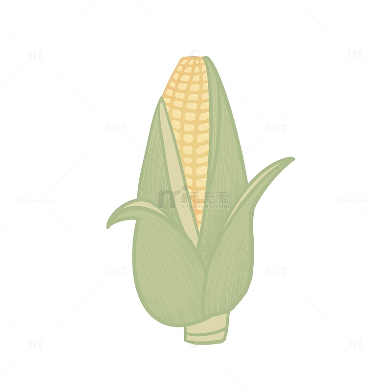 绿色小清新简约玉米手绘植物