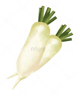 蔬菜白萝卜食物手绘免扣素材