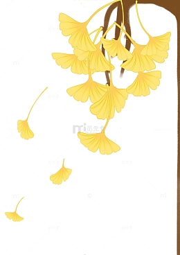 杏黄色商插风银杏树手绘背景元素