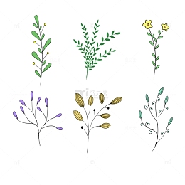 小清新花草简笔画手绘