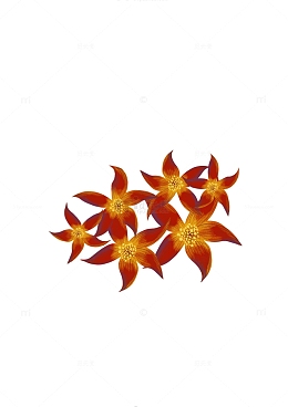 扁平大红花手绘粉红花瓣pngpng矢量卡通花朵素材pngpng矢量小花朵朵