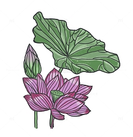 夏日清新大暑清新手绘荷花元素