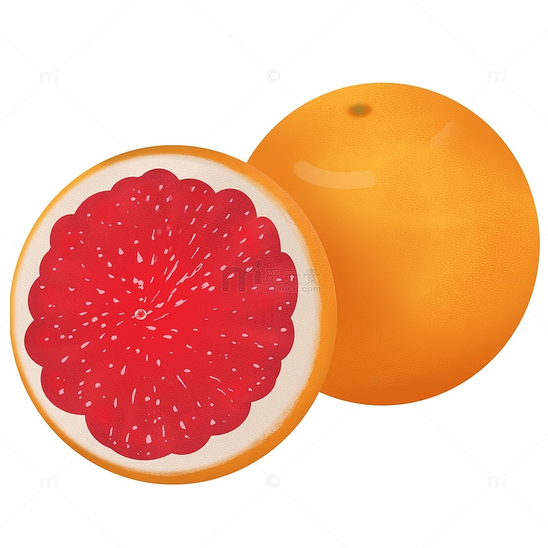 血橙橙子水果手绘