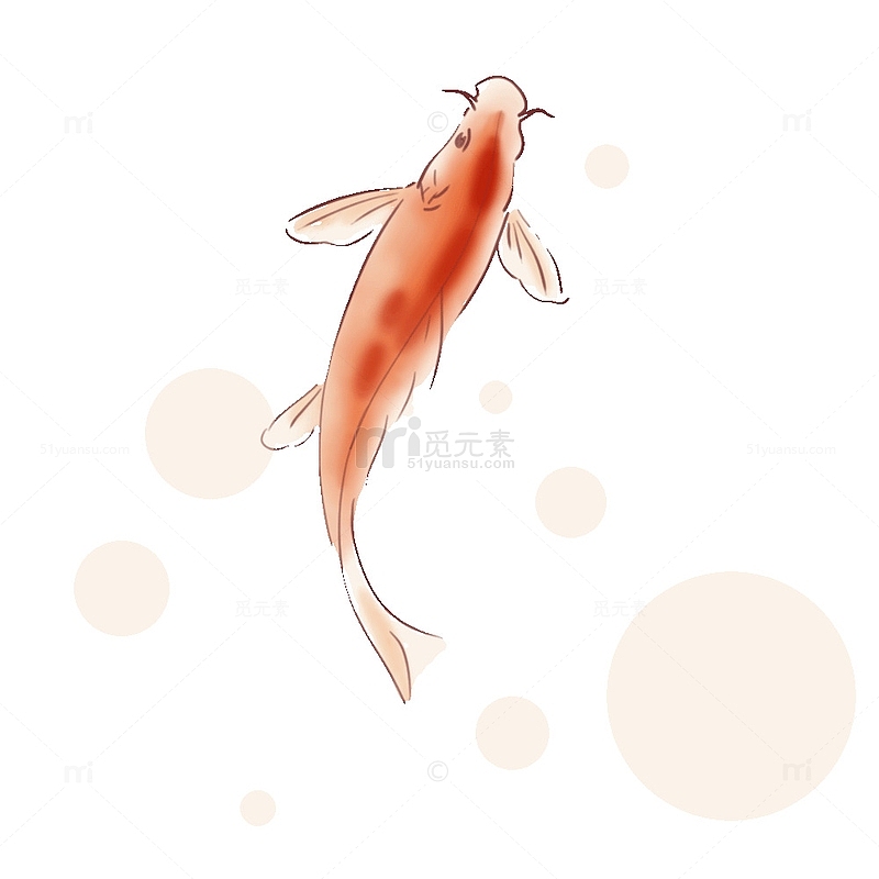 红色手绘大暑夏季红鲤鱼
