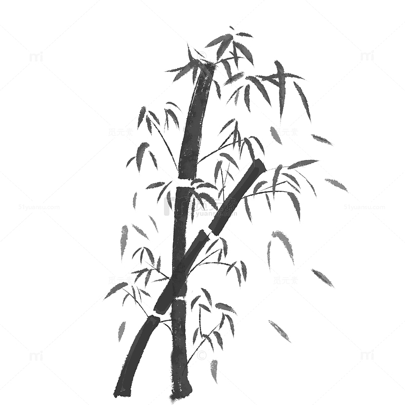 中国风手绘水墨竹叶植物元素插画