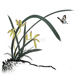 绿色黄色黑色兰花蝴蝶石头水墨画手绘插画