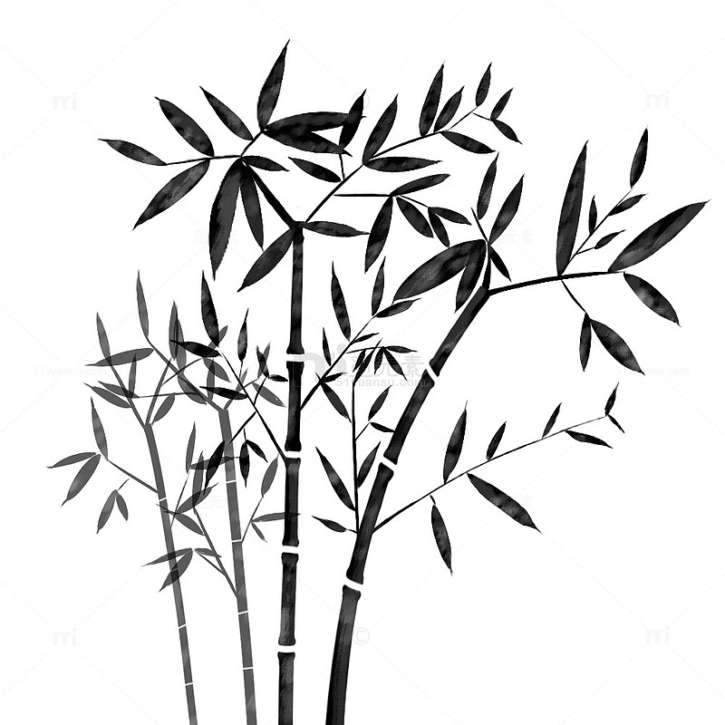 黑白水墨风竹子竹叶手绘