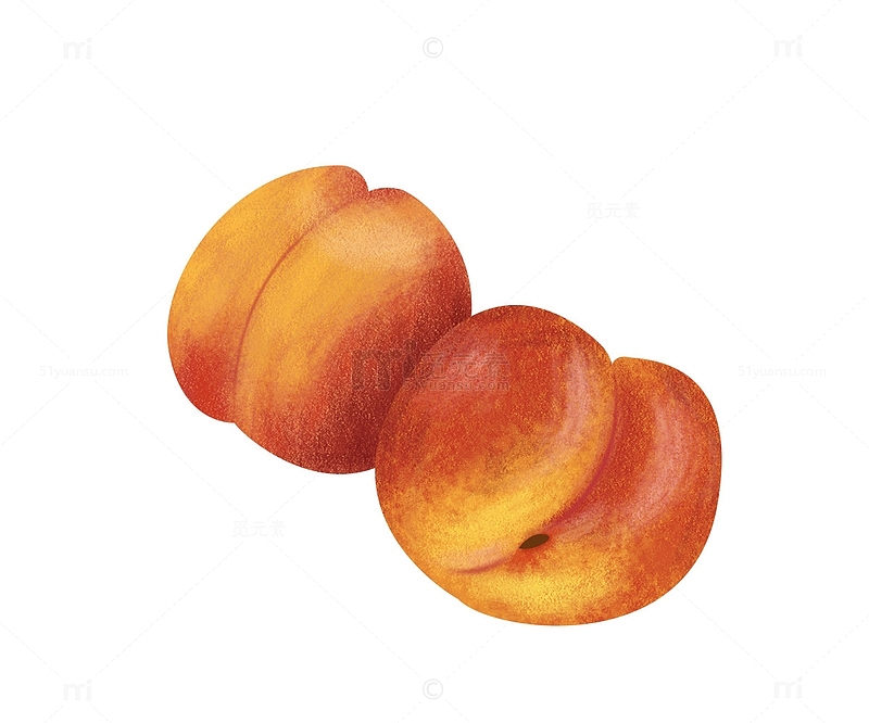 橙色水果甜杏手绘素材