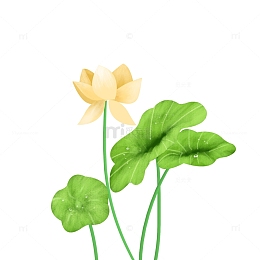 手绘荷花莲花荷叶夏季清爽荷塘PSD