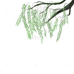 水墨画柳叶柳树元素