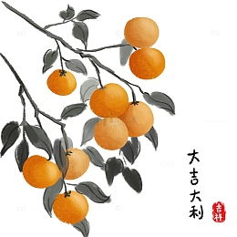 水墨水果橘子
