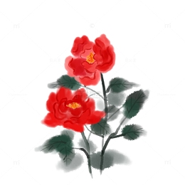 牡丹花水墨画元素