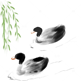 水墨鸭子柳枝手绘