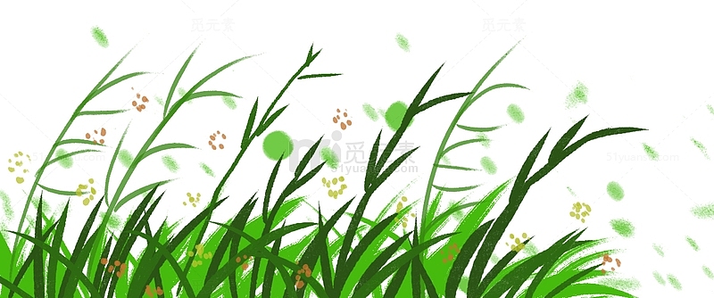草地花草植物手绘