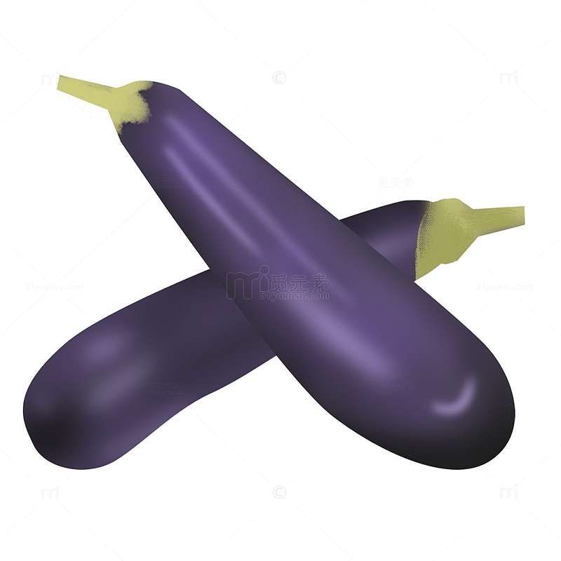 蔬菜两个紫色茄子手绘