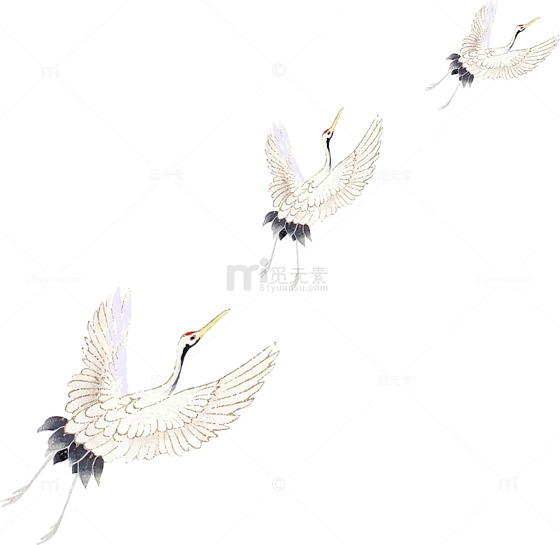 中国风白鹤展翅高飞水墨绘制图