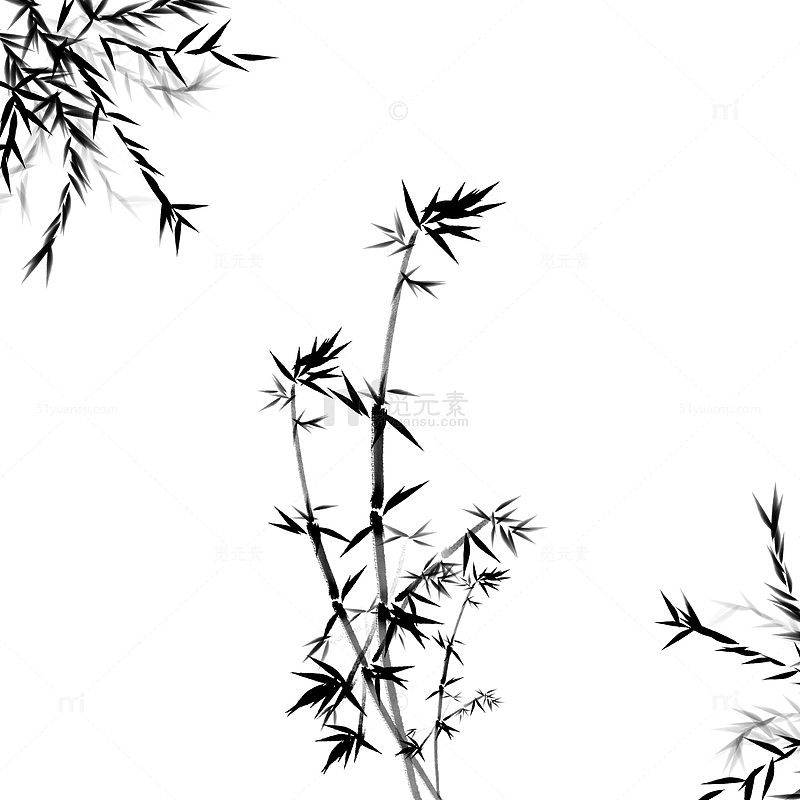 中国风传统手绘水墨风竹子叶植物毛笔画元素