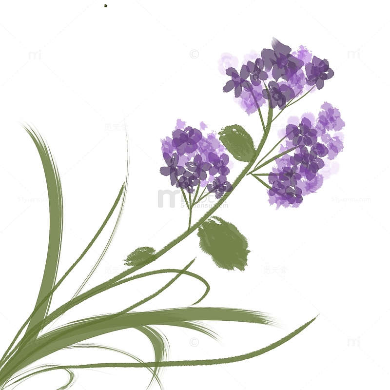 蓝紫色花草水墨手绘植物