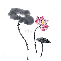 手绘水墨荷花莲花元素