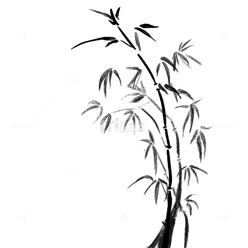 古典水墨风水墨画植物竹子
